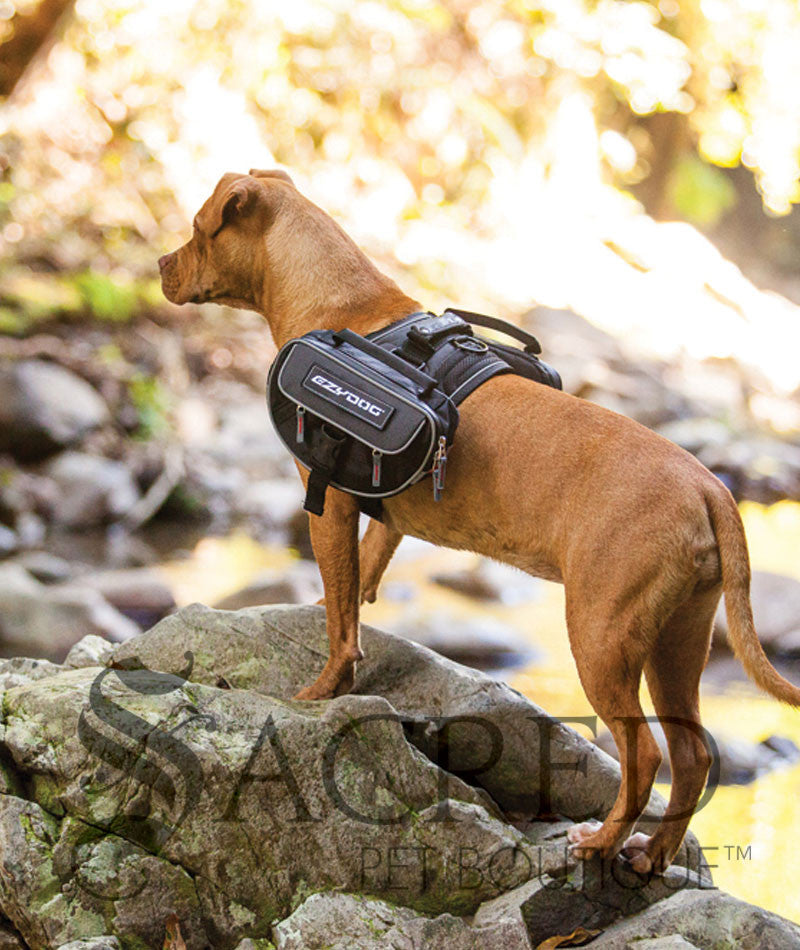 dog harness with removable saddlebags