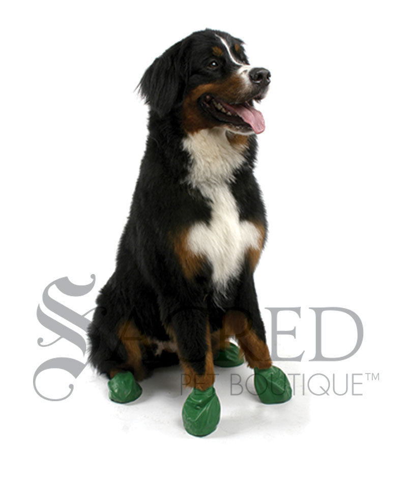 PAWZ Disposable Rubber Dog Boots 