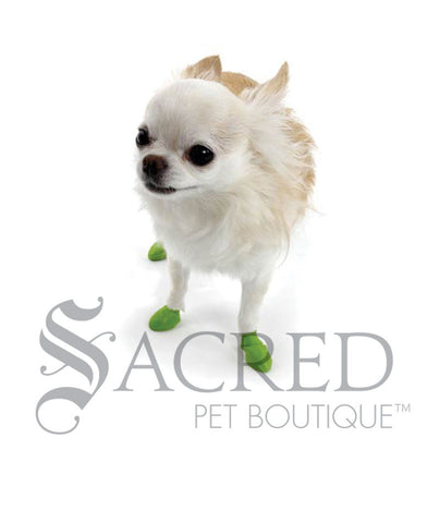 disposable pet booties