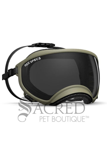 rocket dog sunglasses