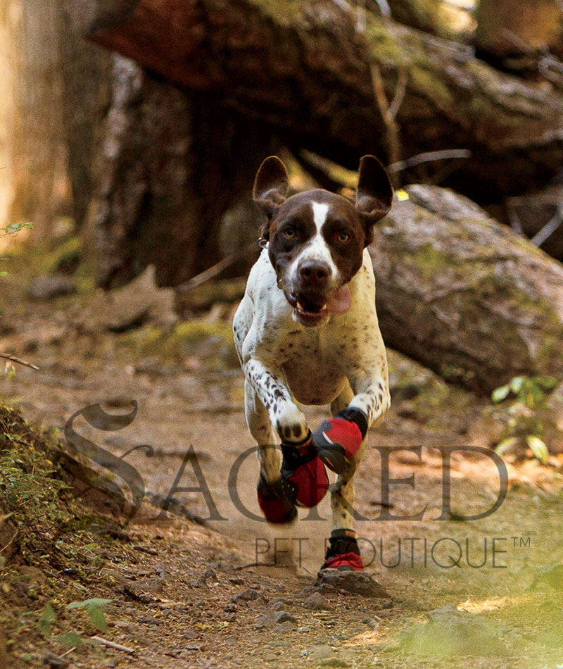 ruff dog boots