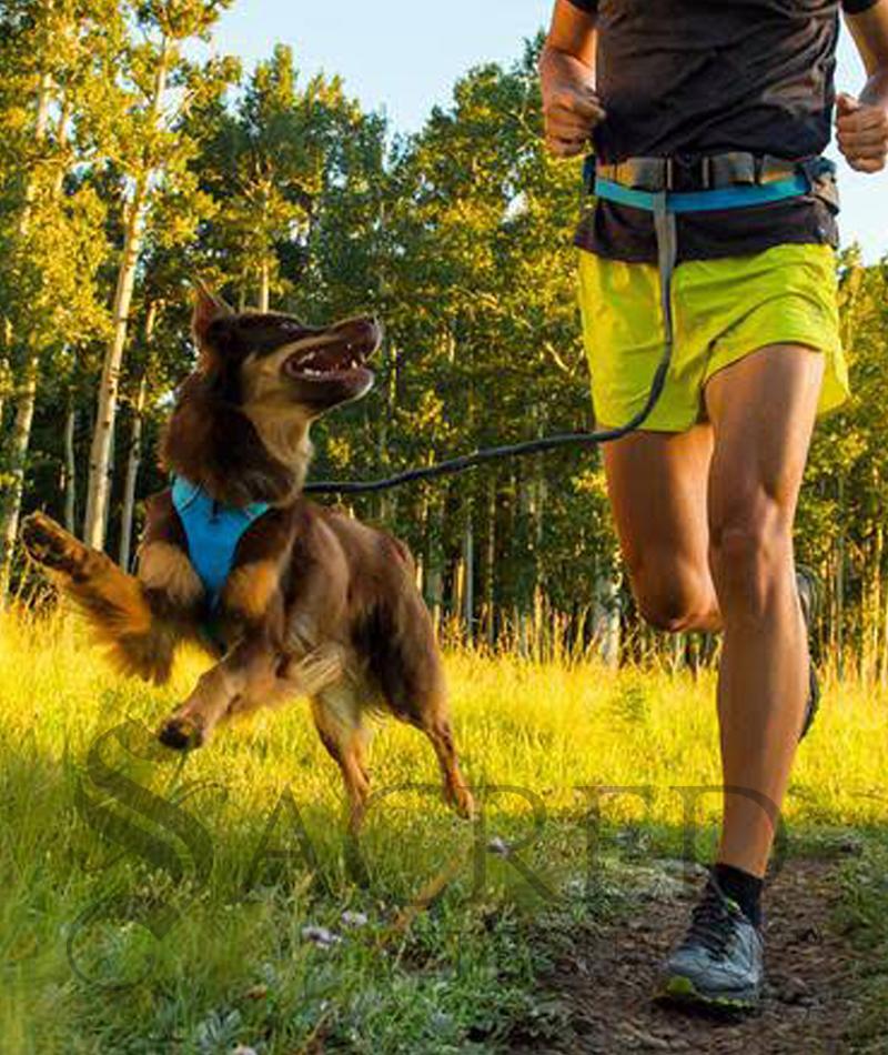 ruffwear trail runner system