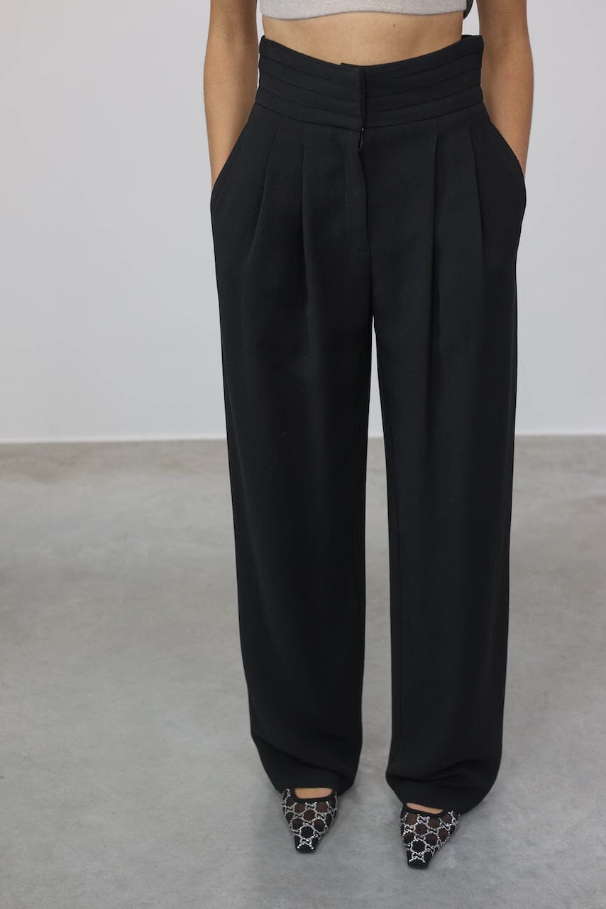 Solid High Waist Carrot Pants – Thewardrobes