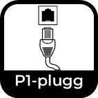 P1 Plugg icon