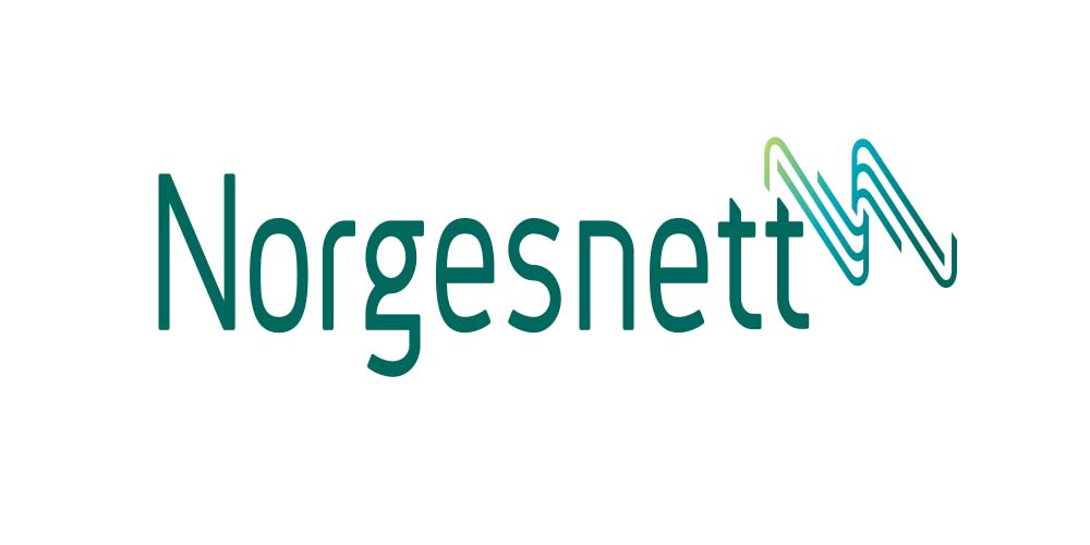 Norgesnett logo - Elbilgrossisten