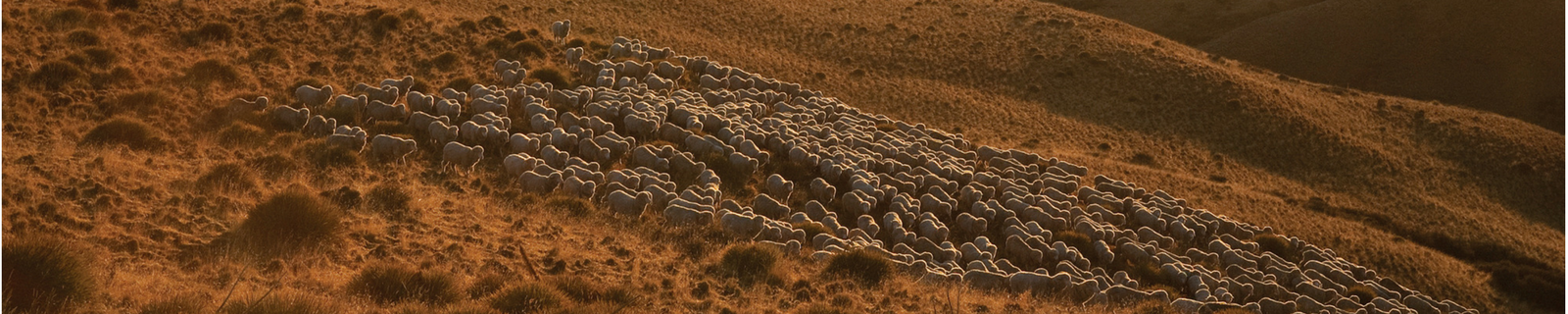 [Image: Shortest_Day_Merino_Wool_Post_4a274185-0...1636399188]