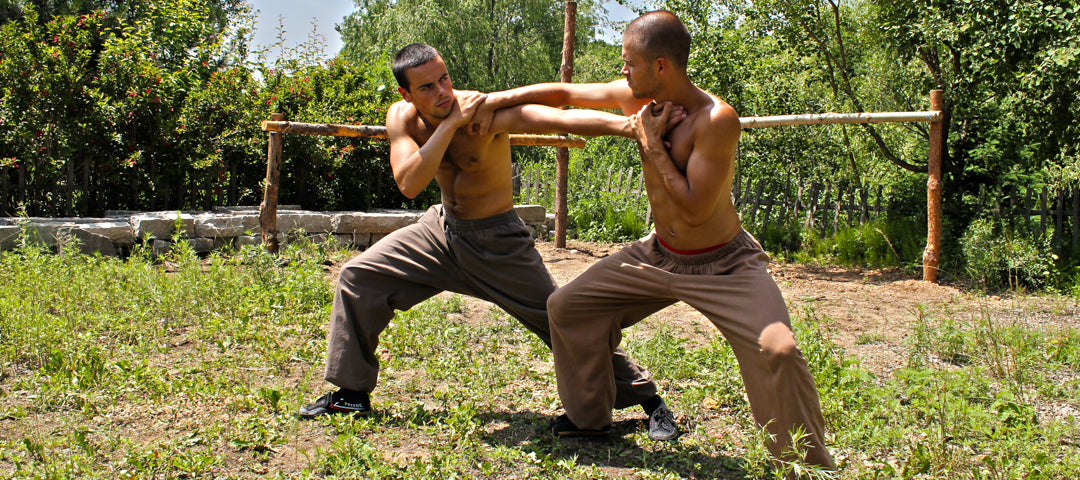 shaolin kung fu training exercises