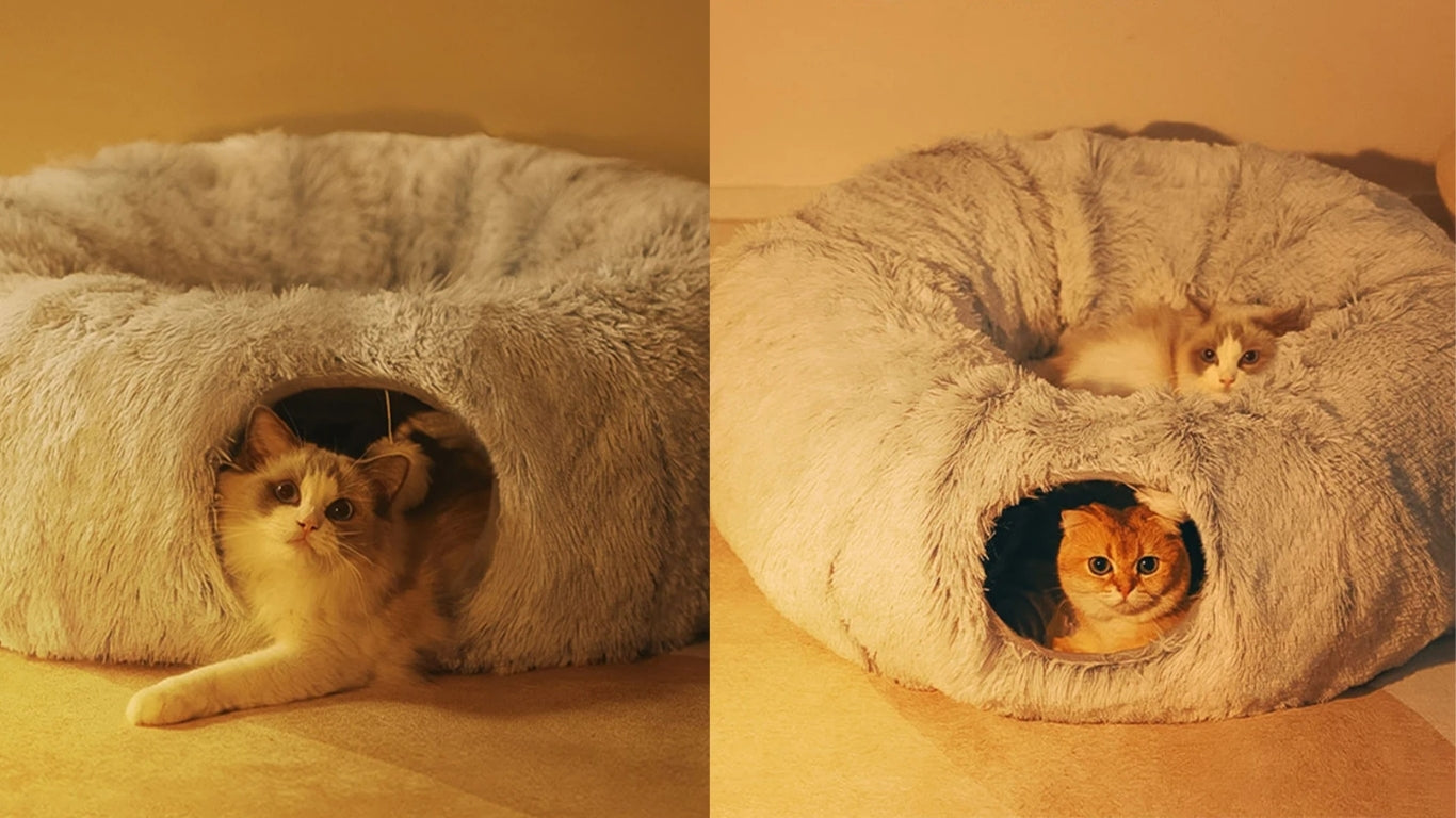 Best Cat Tunnels for Active Cats