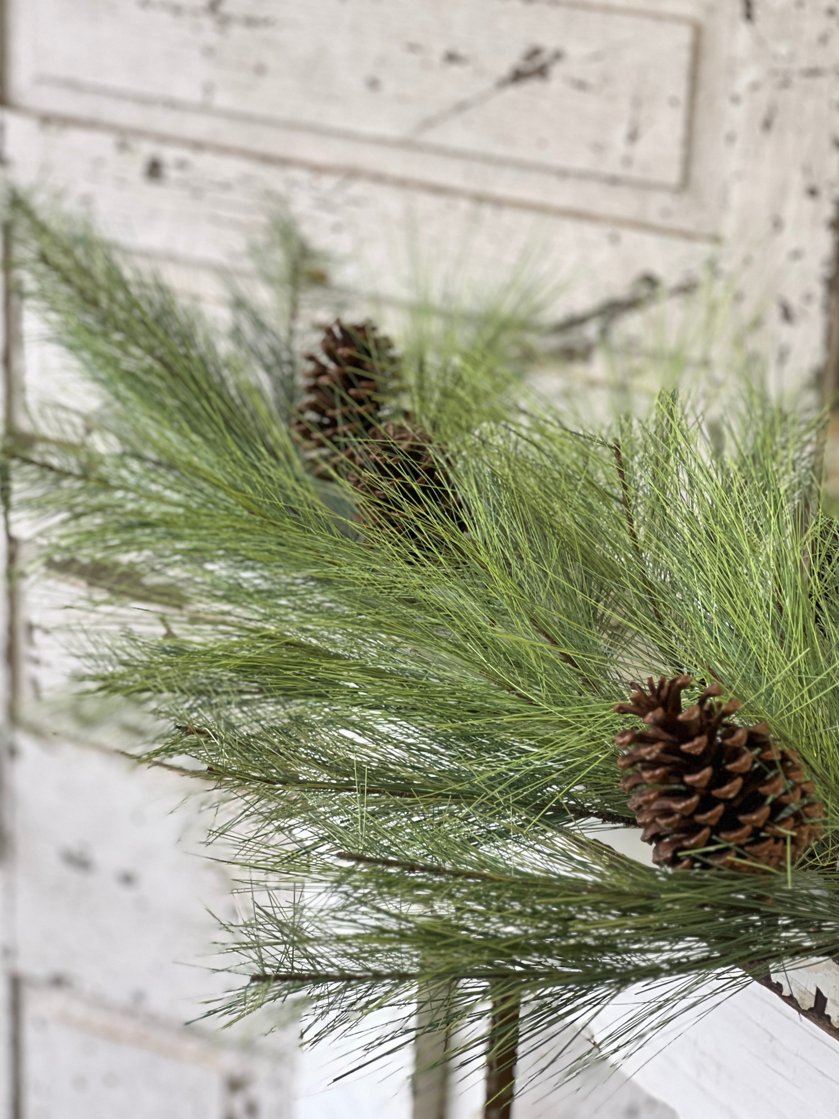 Long Needle Pine & Cedar - Lancaster Home & Holiday