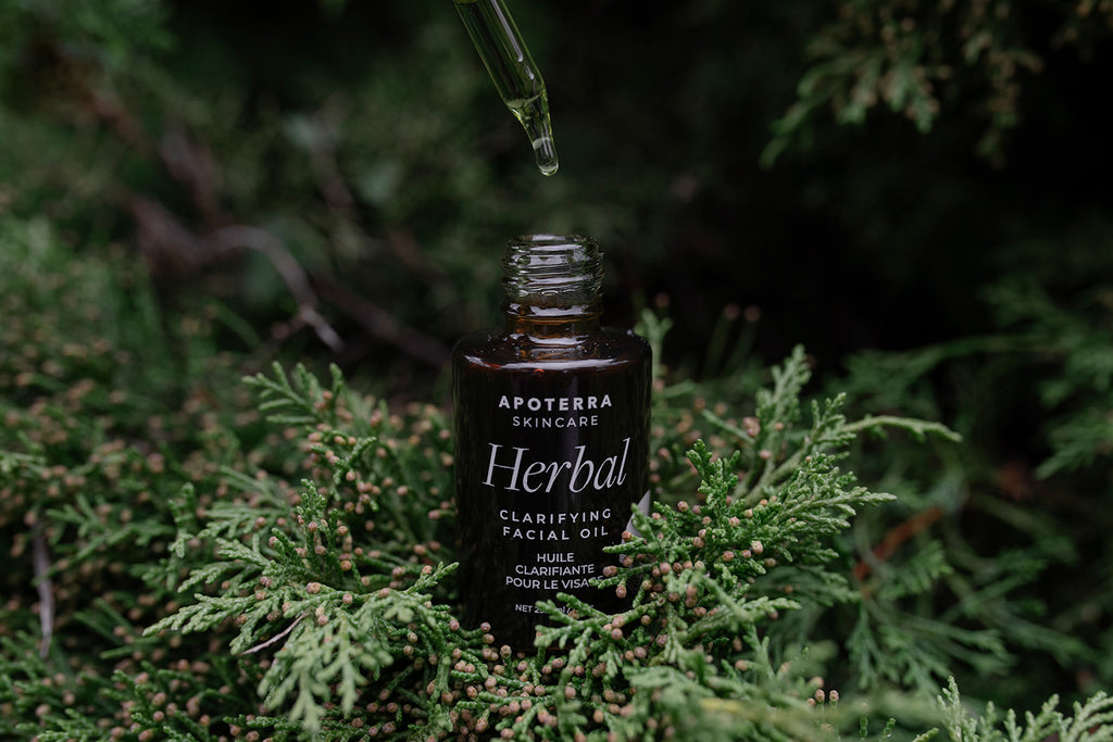 herbal clarifying facial oil