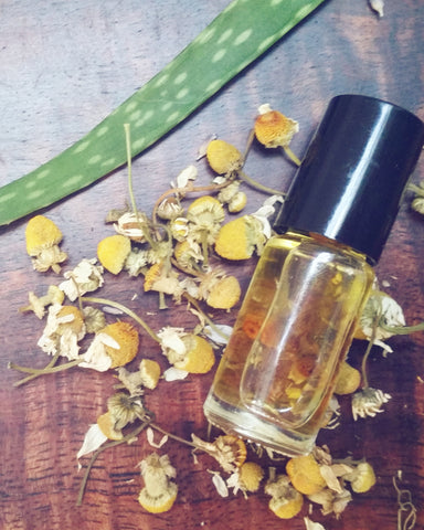 Chamomile oil infusion for skincare