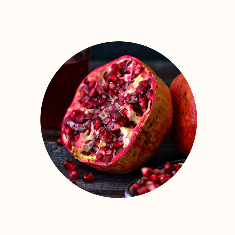 Landing Page Pomegranate.png__PID:6bfec077-5f15-4f7b-a69f-1360434cd9a7