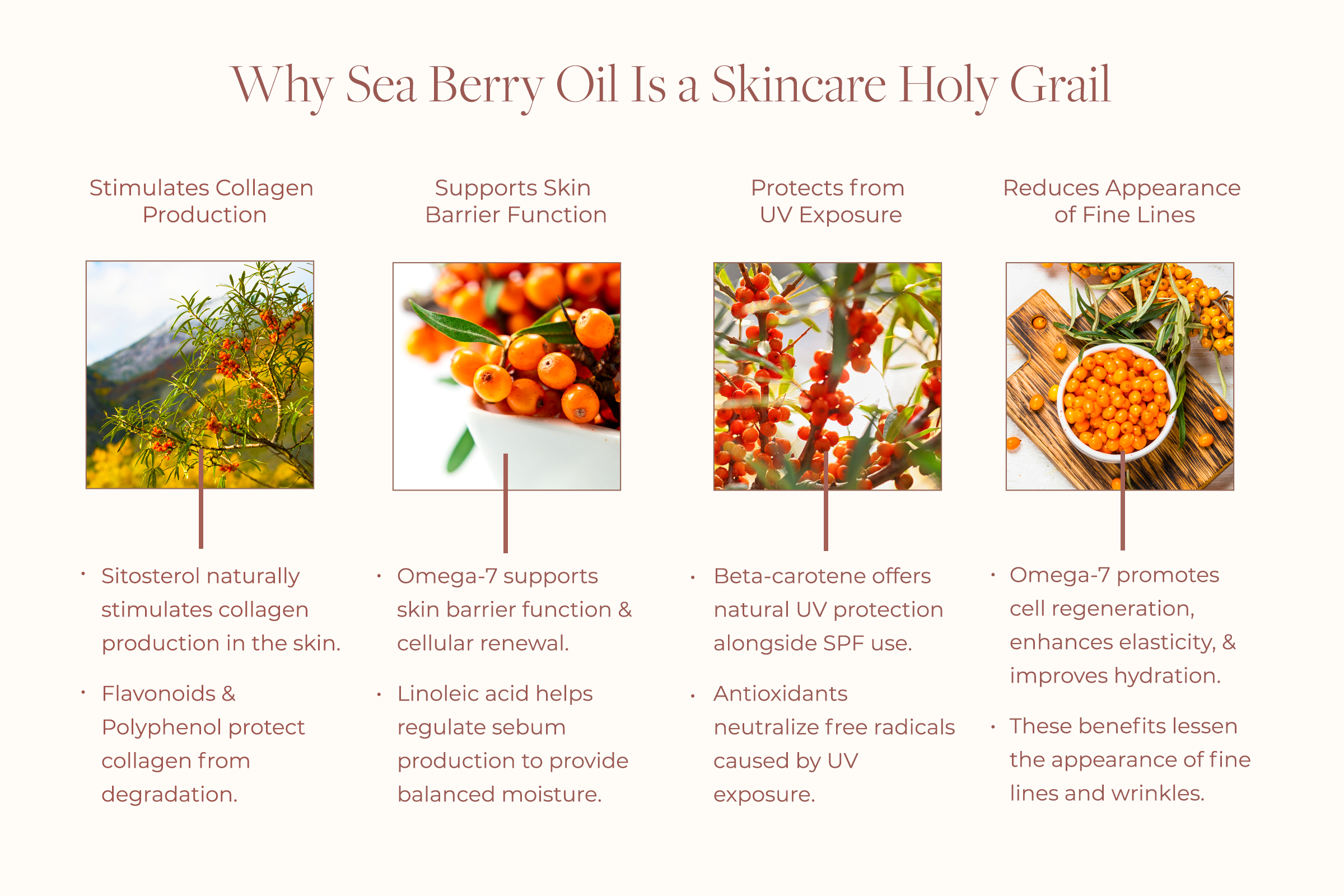 Sea Berry Duo Landing Page Sea Berry Benefits 2.png__PID:1b93bb0f-2fa1-42ba-8b23-a94d1a74ba7e