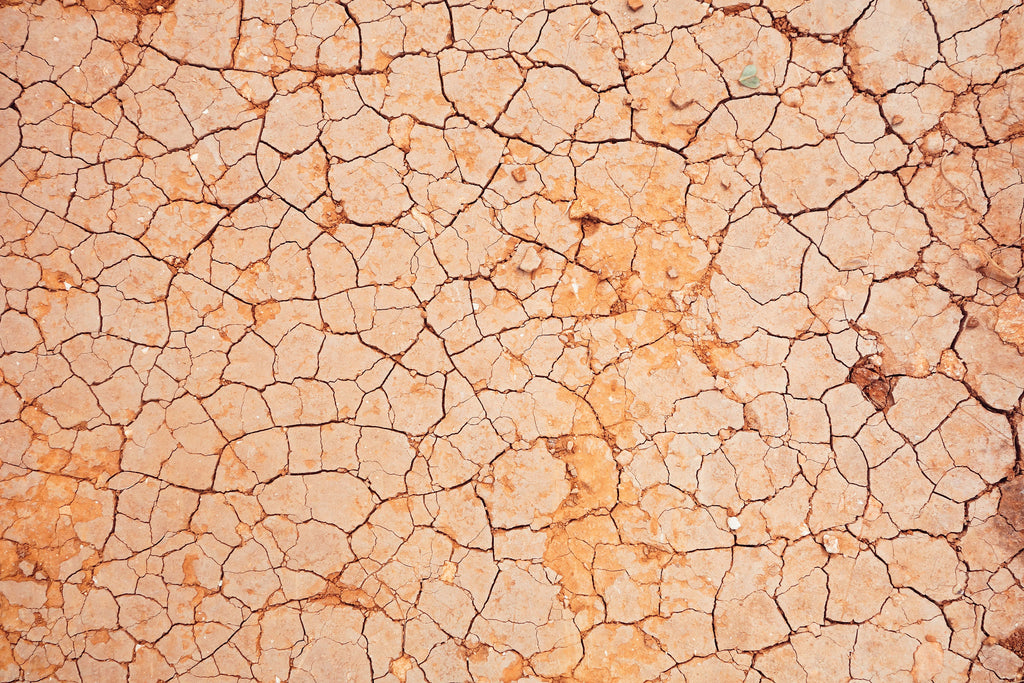 cracked, dry, brown ground
