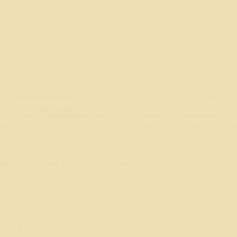 Mission Models - Acrylic Model Paint 1 oz Bottle, Radome Tan FS 33613 - Hobby Recreation Products