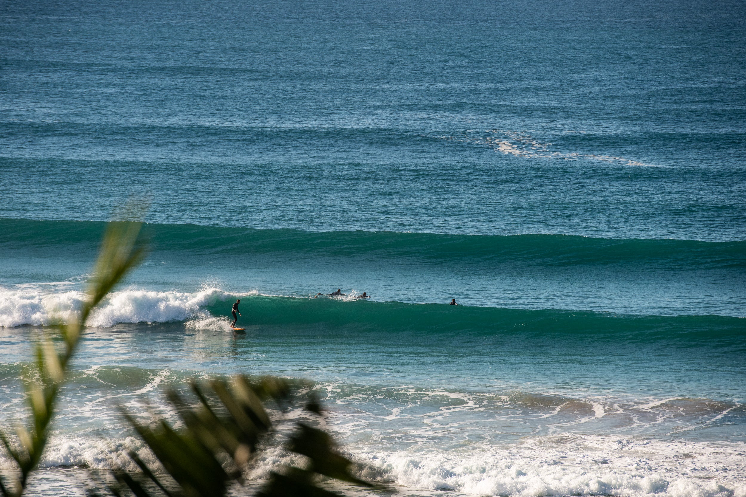 Jonas Claesson Surfing