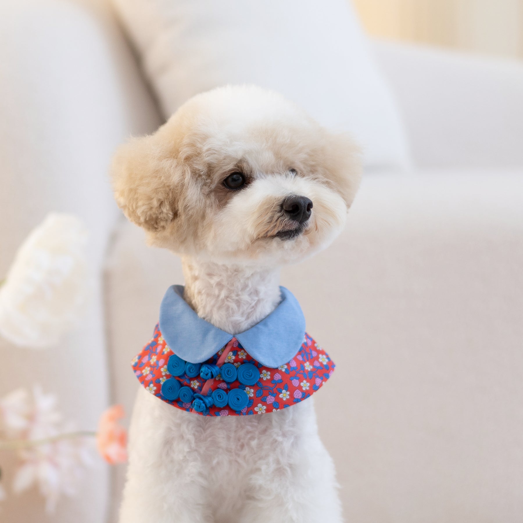 Ohpopdog | Premium Dog Apparel, Bandanas, Accessories