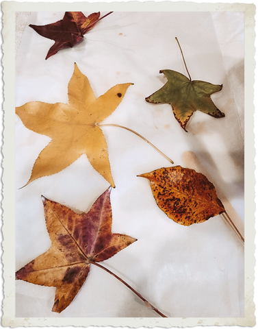 Waxed leaves drying on wax paper
