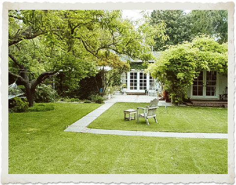 The Backgarden of Toadstool Farm