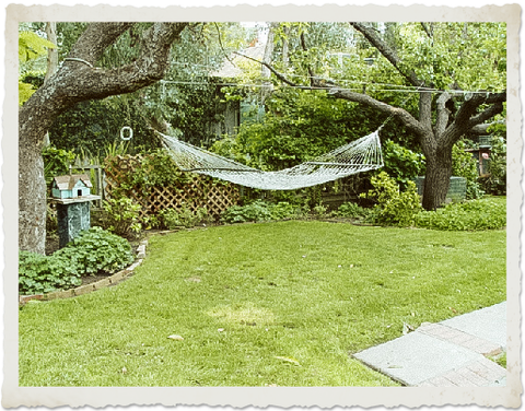 The hammock under the trees of Toadstool Farm