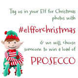 Elf for Christmas Competition