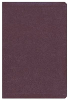 NIV Thinline Reference Bible Burgundy Bonded Leather