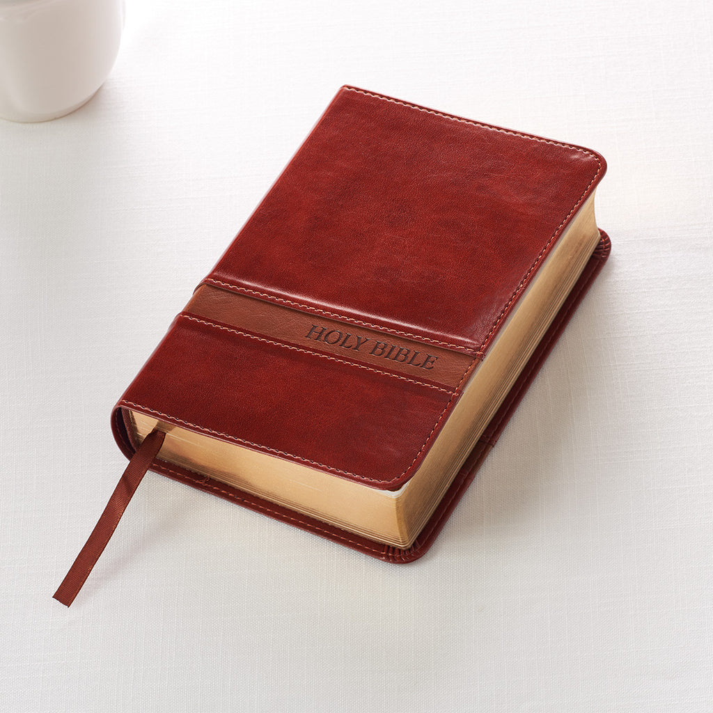 kjv-large-print-compact-bible-brown-celebrate-faith