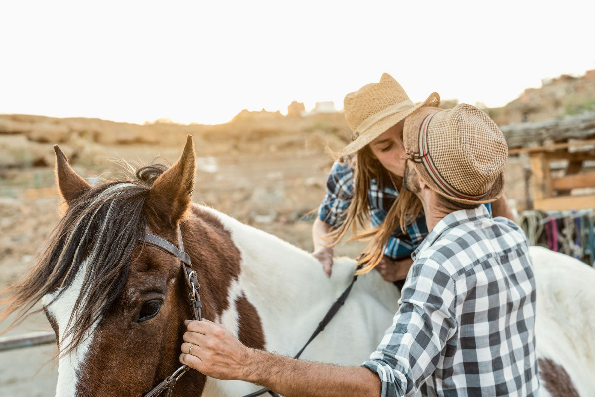 Romantic moment: Couple sharing a kiss while horseback riding.