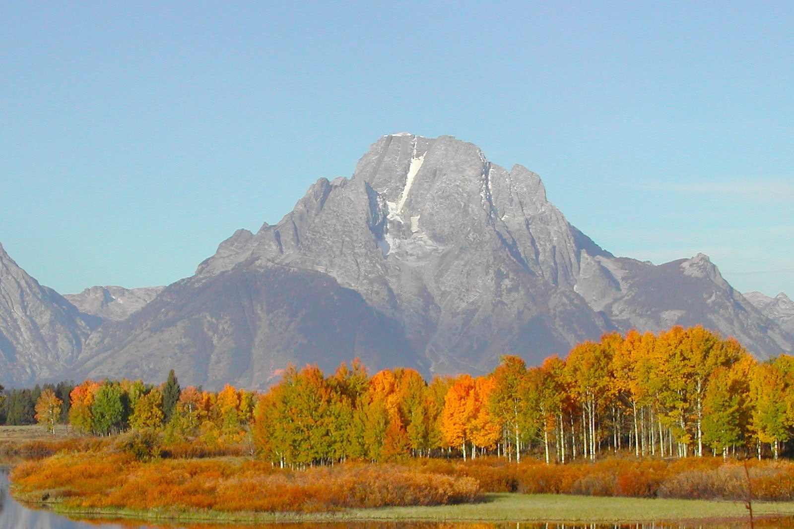 Fall colors at Grand Teton National Park.