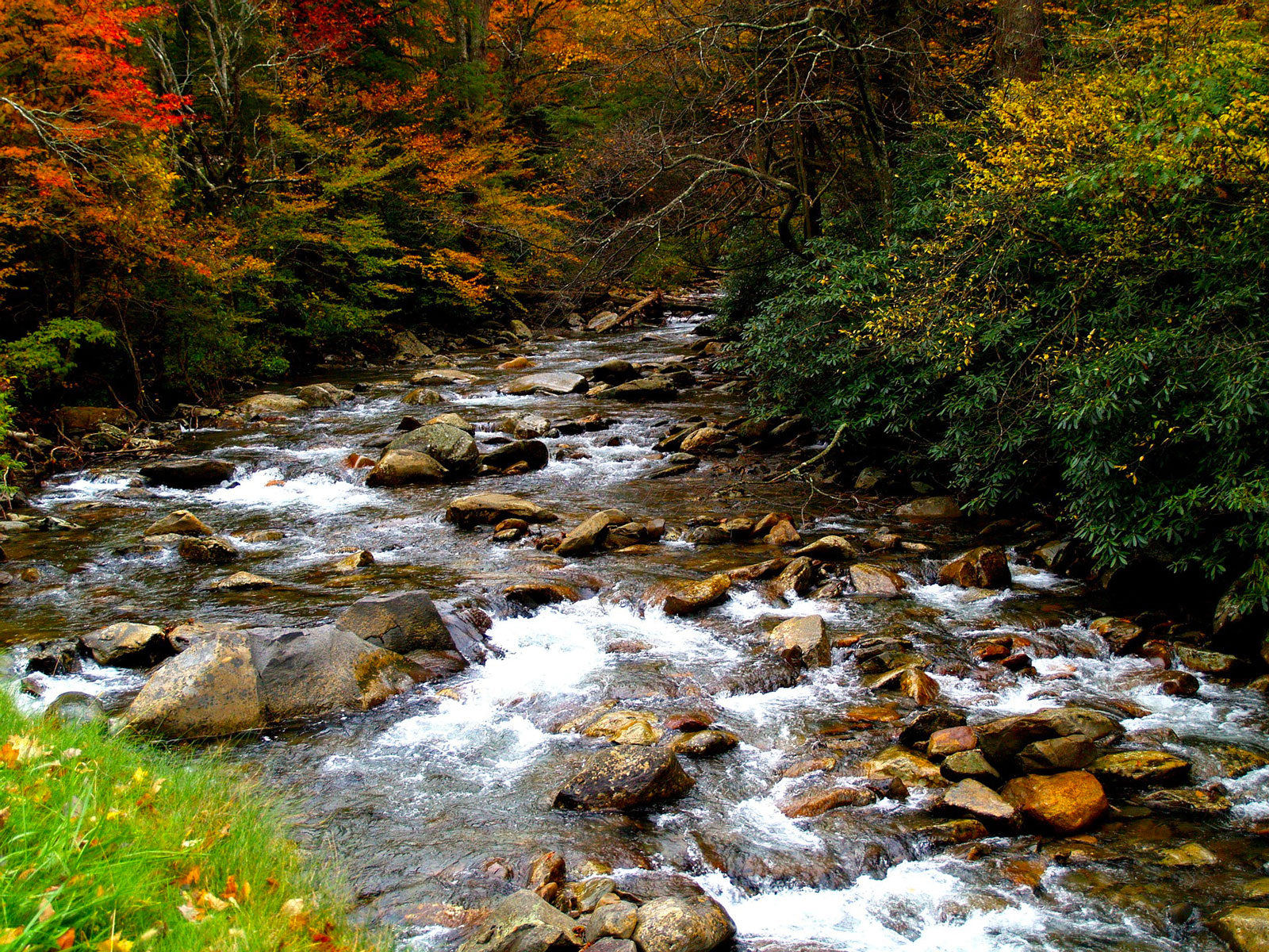 River surrounded by fall colors in Great Smoky Mountains National Park.
