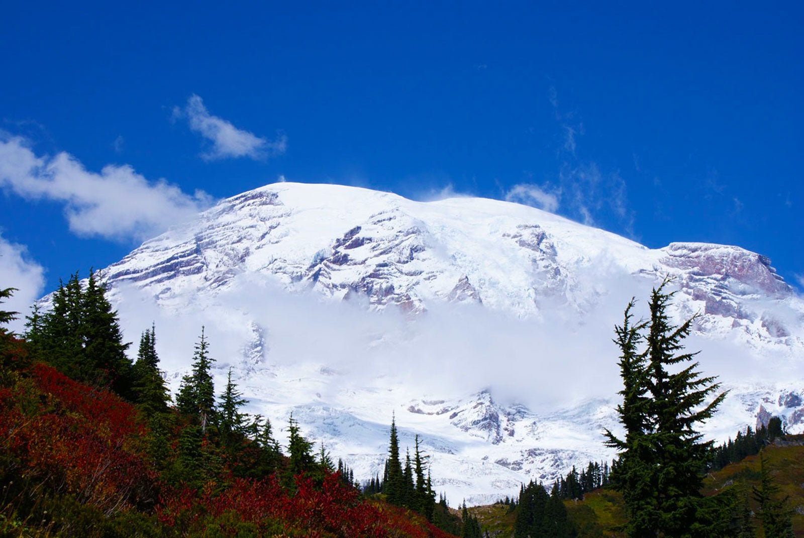 Mt Rainier during fall season with lots of colorful fall leaves.