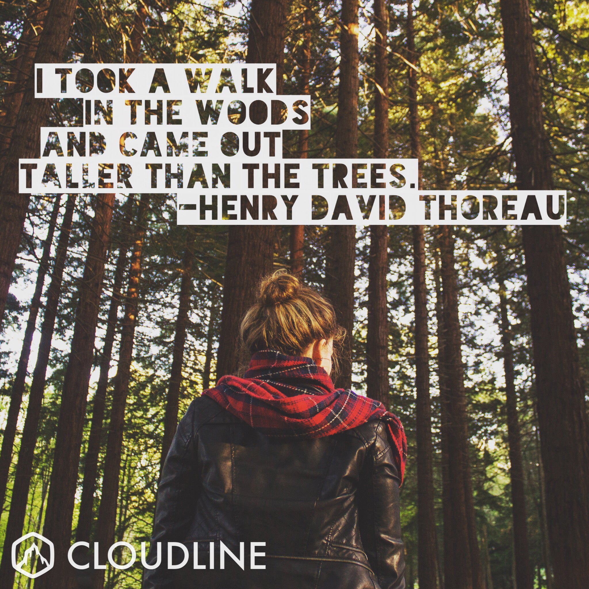 I took a walk in the woods and came out taller than the trees - Henry David Thoreau