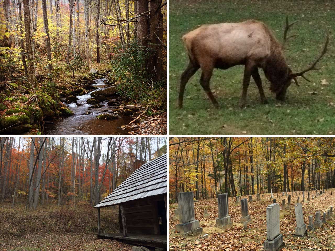 Hiking in North Carolina - Little Cataloochee in Great Smokey Mountain National Park