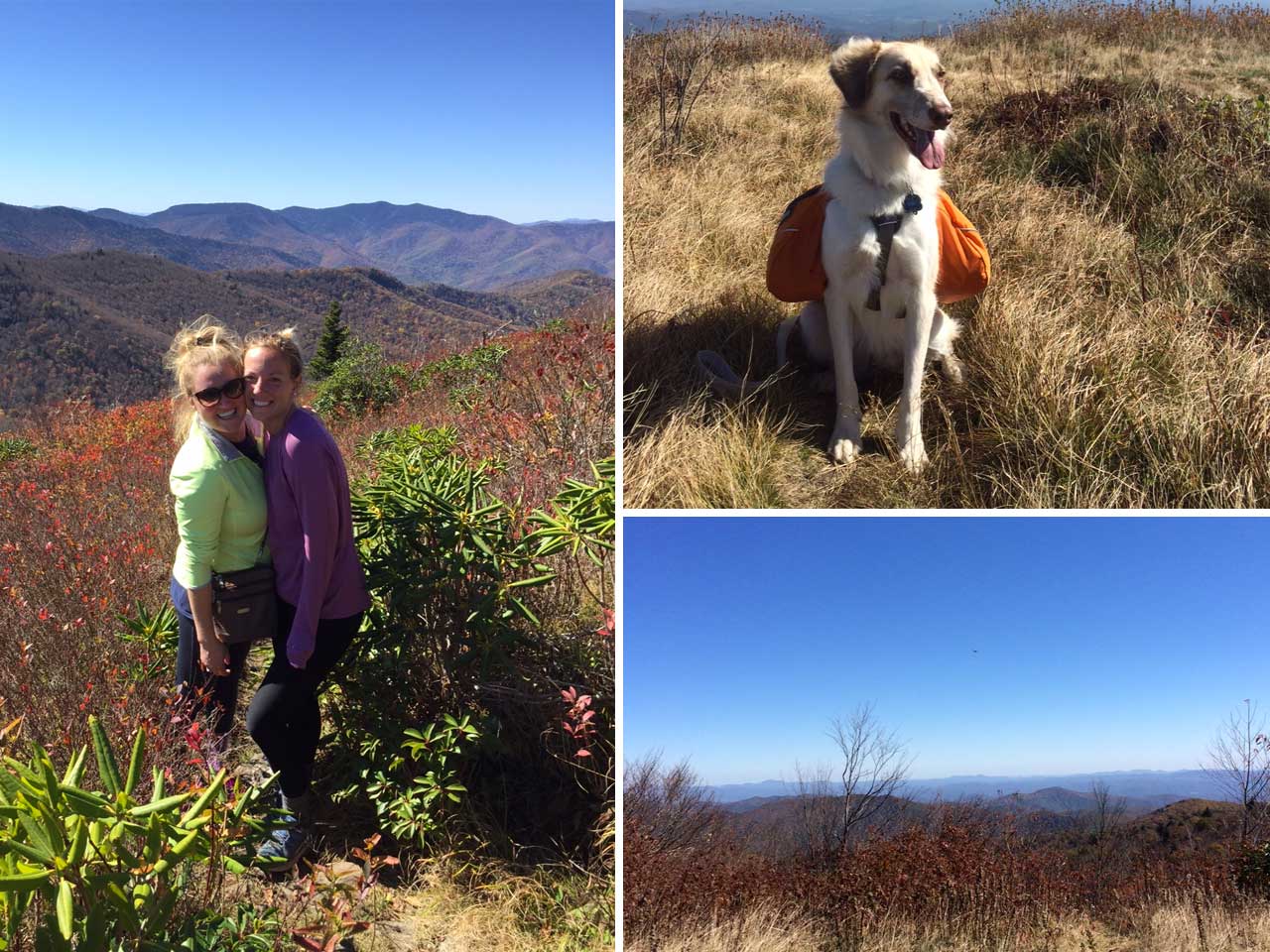 5 Hikes in North Carolina - Black Balsam Knob in Pisgah National Forest