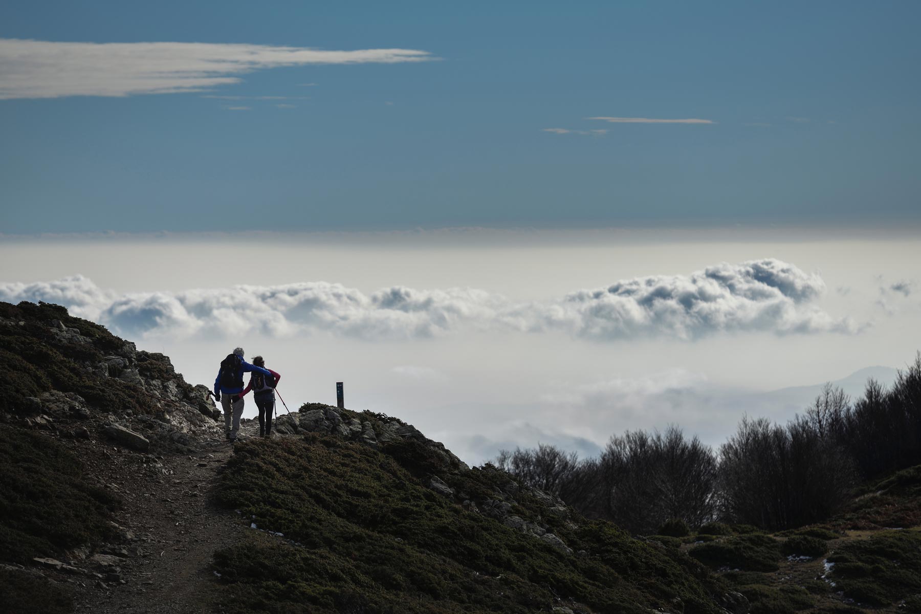 Two hikers walking arm in arm down a hiking trail.