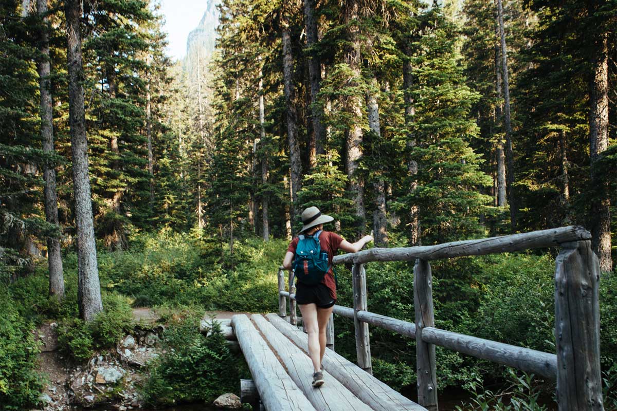 Hiker crossing log bridge on forested trail.