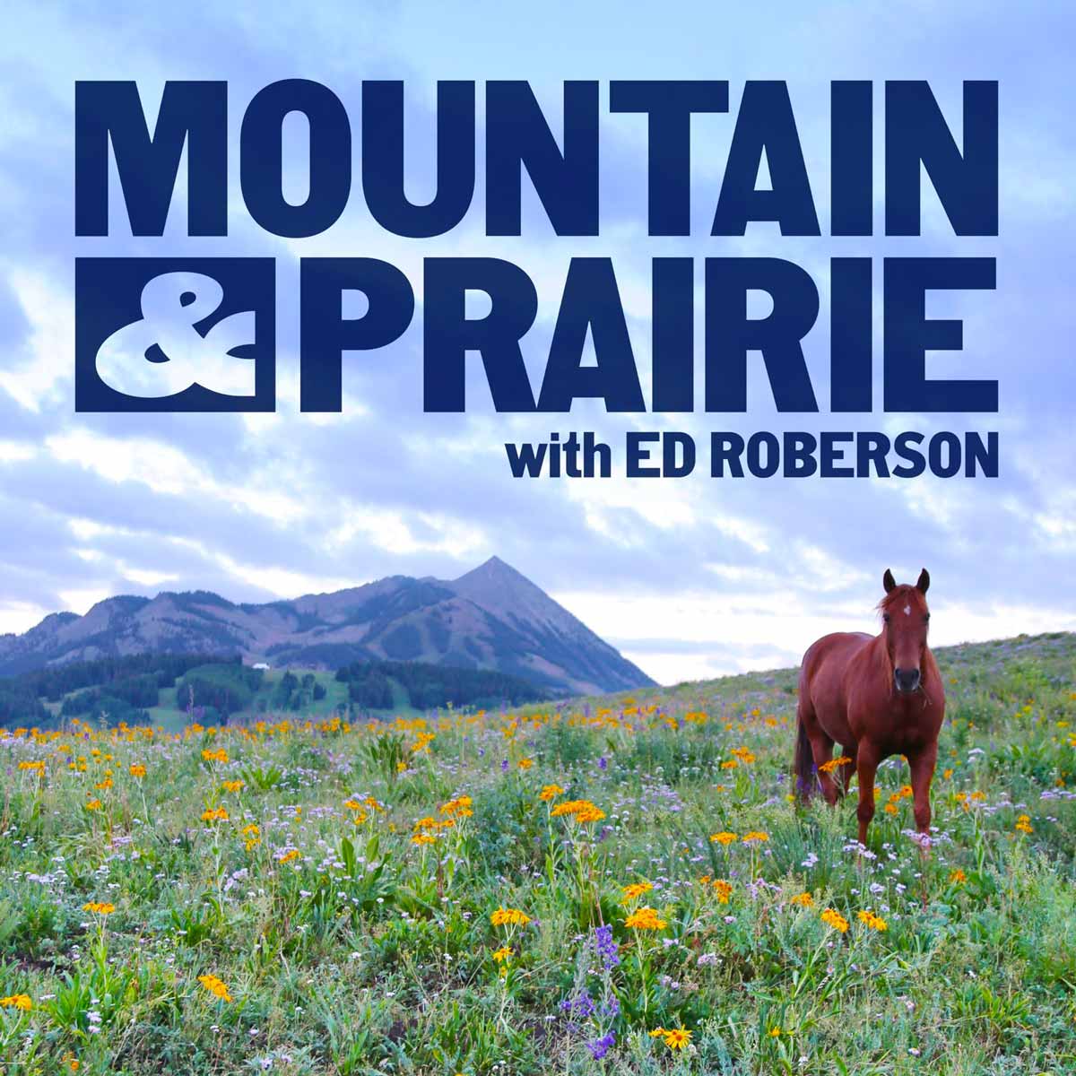 Mountain and Prairie Podcast Artwork