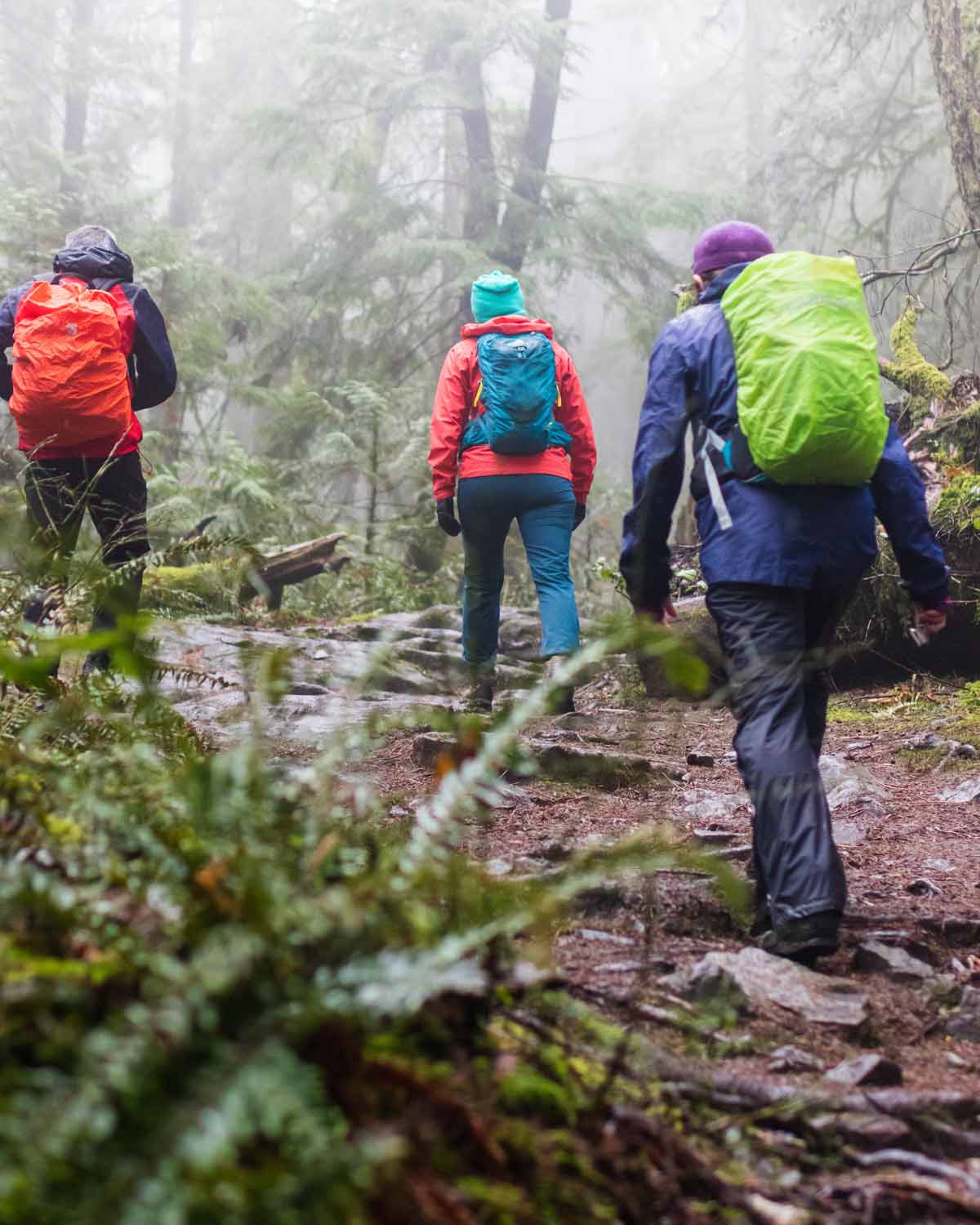 Five Tips for Hiking in the Rain