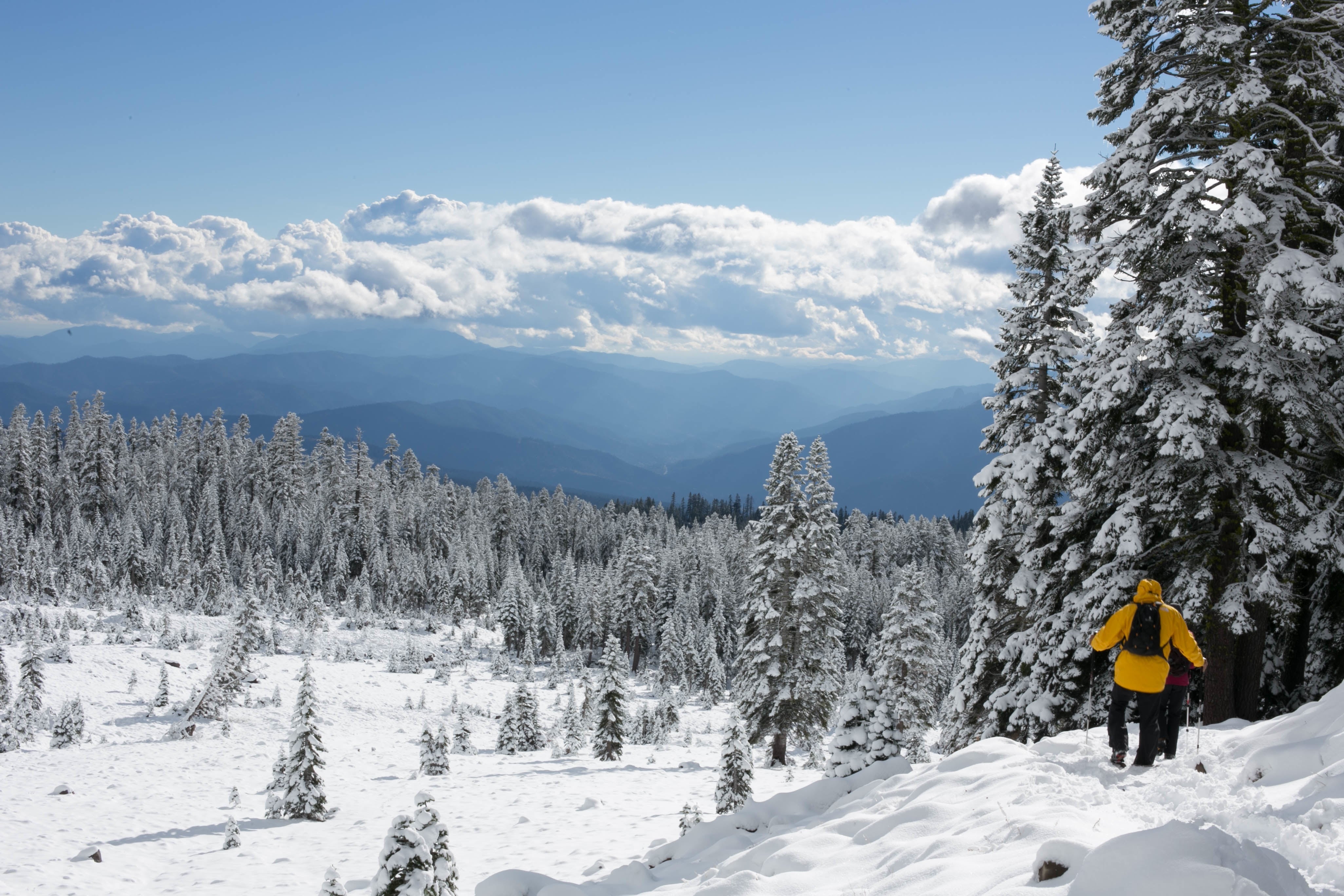 Get Outside and Burn Off Thanksgiving Calories