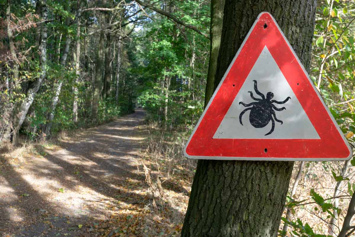 Trail sign warning about ticks.