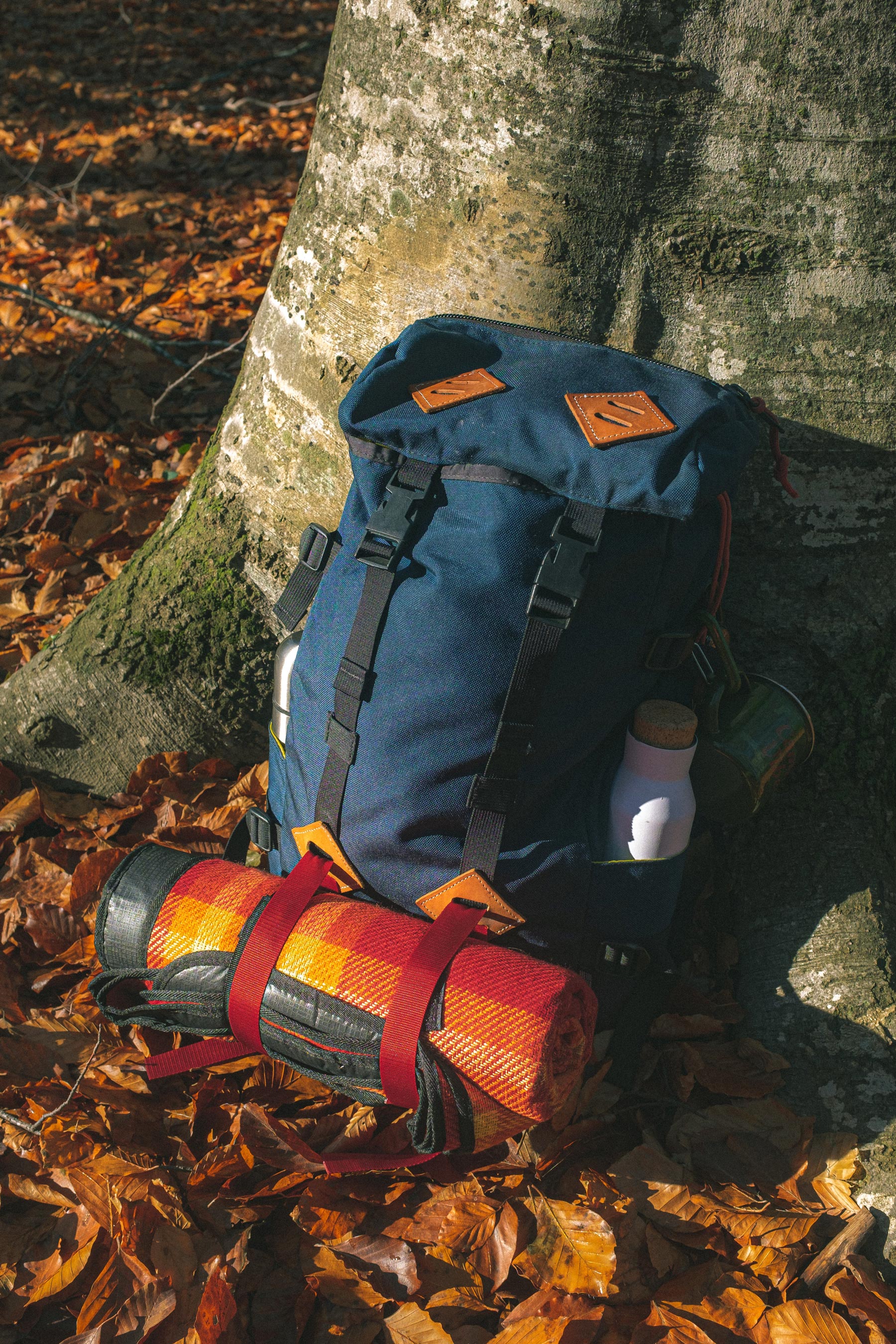 Hiker's day pack leaned at the base of a tree surrounded by orange leaves.