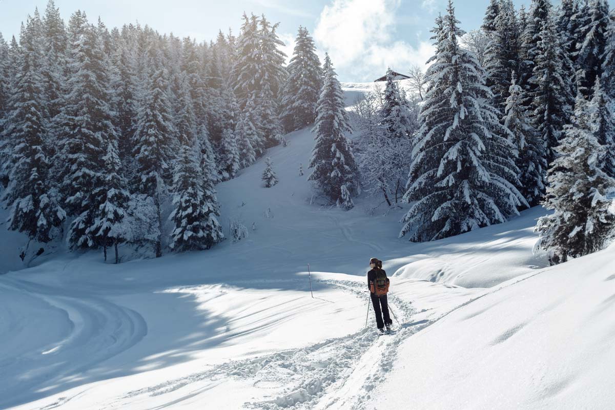 Cross country skier skiing through woods.