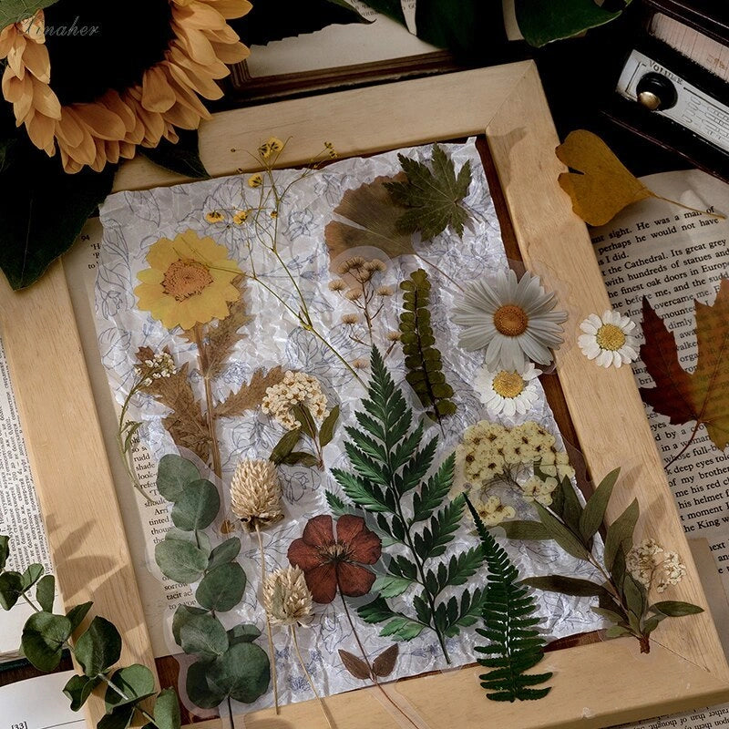 Herbarium Series DIY Plant Stickers Pack