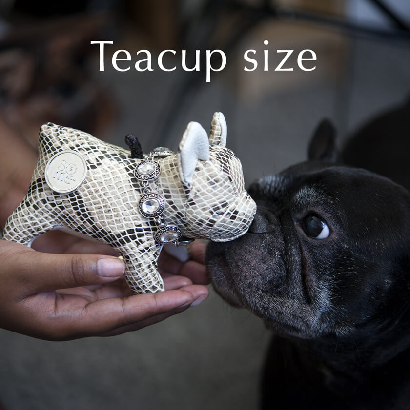 55+ Teacup Blue French Bulldog For Sale