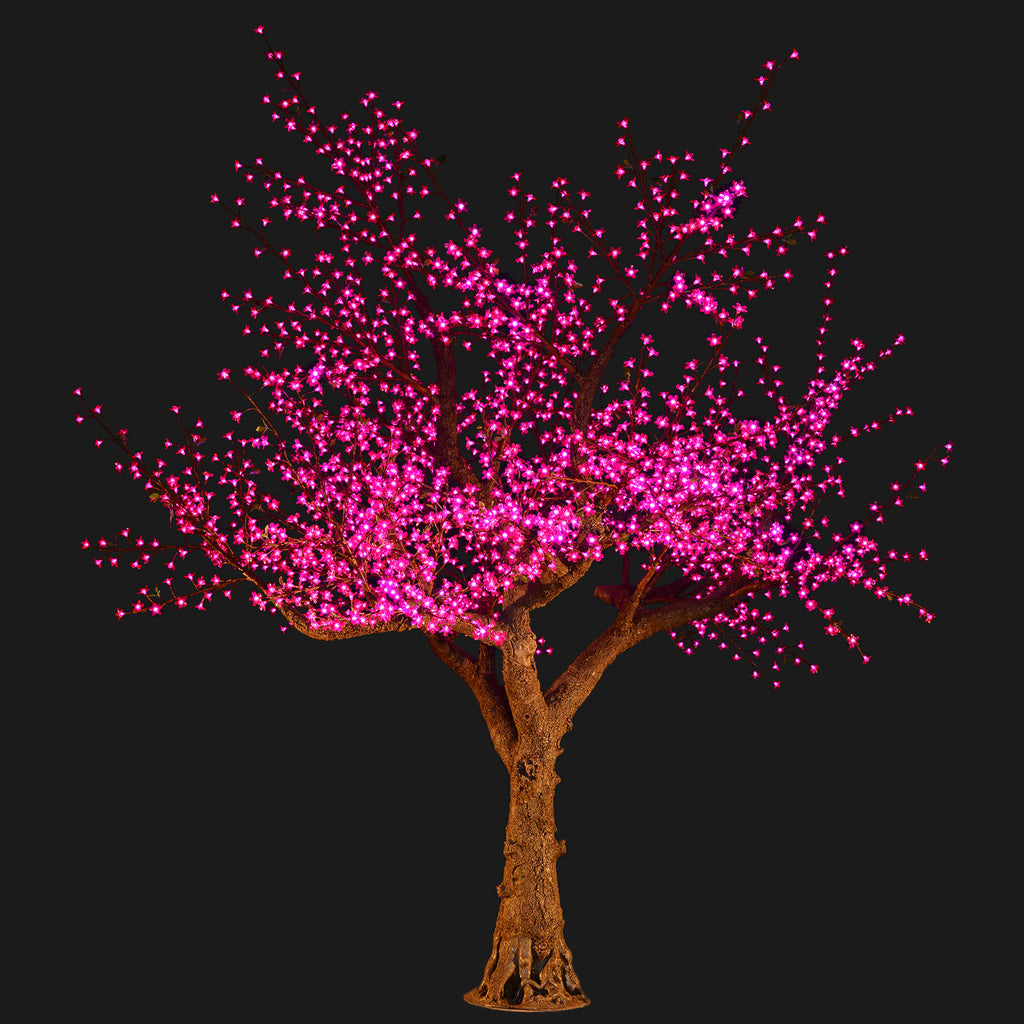 bright purple tree