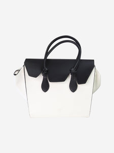 Delvaux Tempête Tote Bag Reference Guide - Spotted Fashion