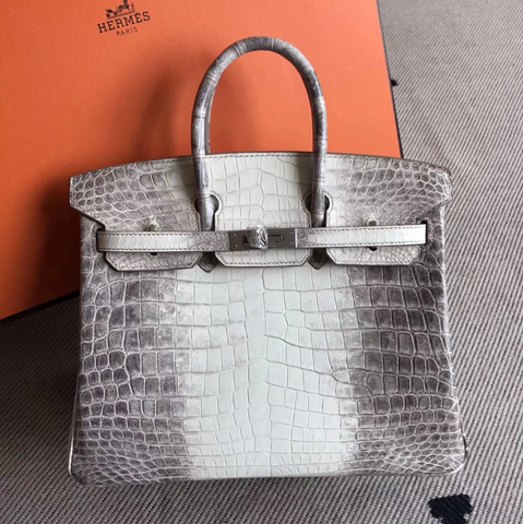 Hermès Himalaya Crocodile leather Birkin bag 25cm silver hardware