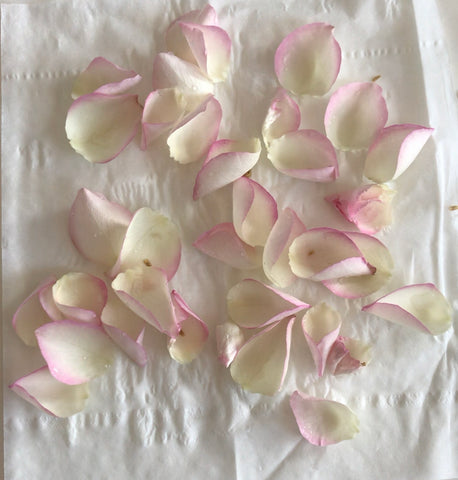 Drying rose petals