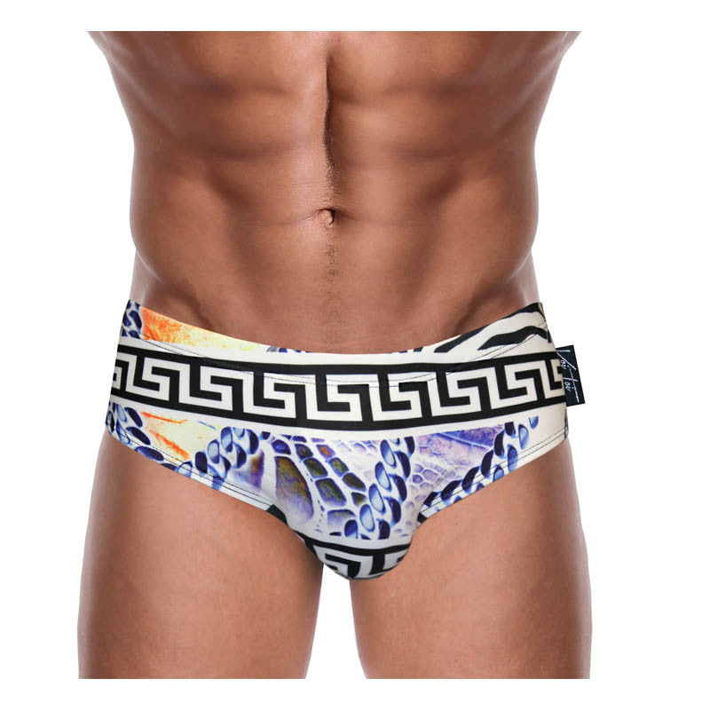 Men Swimsuit - GREEK GOD Dkini - Men's Swimwear - Men's Swim Briefs - DANNY  MIAMI