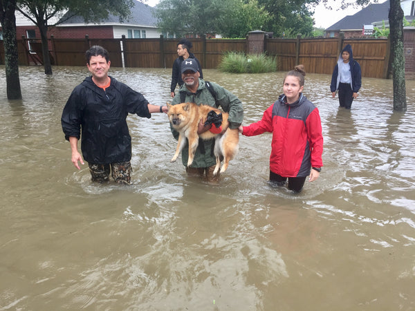 Flooding displaced thousands of local residents 